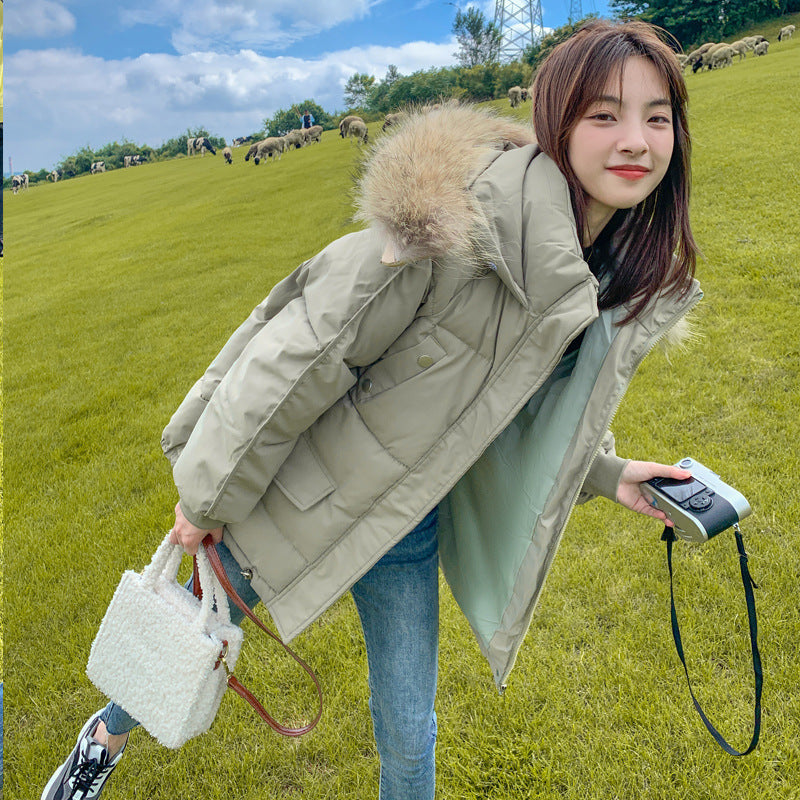 Manteau Court en Coton à Col en Fourrure